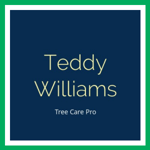 Teddy Williams Logo