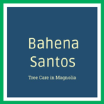 Bahena Santos Logo