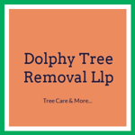 Dolphy Tree Removal Llp Logo