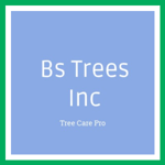 Bs Trees Inc Logo
