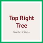 Top Right Tree Logo