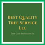Best Quality Tree Service Llc Logo