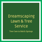 Dreamscaping Lawn &amp; Tree Service Logo