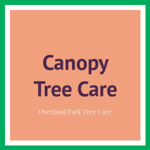 Canopy Tree Care Logo