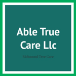 Able True Care Llc Logo