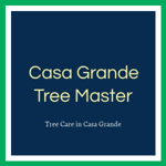 Casa Grande Tree Master Logo