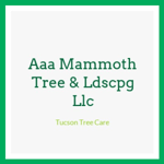 Aaa Mammoth Tree &amp; Ldscpg Llc Logo