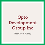 Opto Development Group Inc Logo