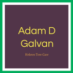 Adam D Galvan Logo