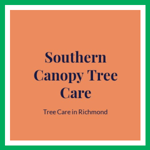 Southern Canopy Tree Care Logo