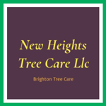 New Heights Tree Care Llc Logo