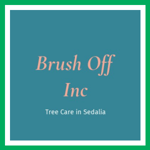 Brush Off Inc Logo