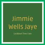 Jimmie Wells Jaye Logo