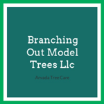 Branching Out Model Trees Llc Logo