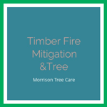 Timber Fire Mitigation &Tree Logo