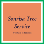 Sonrisa Tree Service Logo