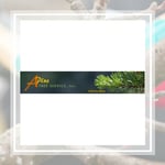 A Plus Tree Service Inc Logo