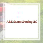 Abe Stump Grinders Llc Logo
