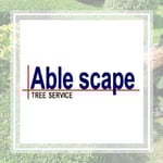 Able Scape Inc Logo