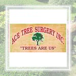 Ace Tree Surgery Inc Logo
