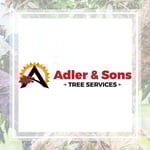 Adler And Sons Logo