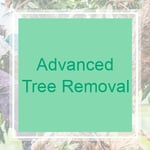 Advanced Tree Removal Logo