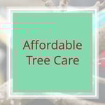 Affordable Tree Care Logo