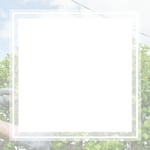 Affordable Tree Care Inc Logo