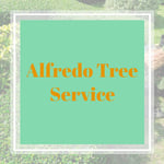 Alfredo Tree Service Logo
