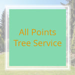 All Points Tree Service Logo