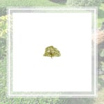 Alleys Tree Removal Llc Logo