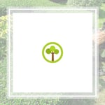 Andys Tree Service Logo