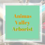 Animas Valley Arborist Logo