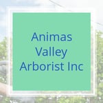 Animas Valley Arborist Inc Logo