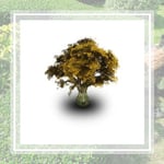 Arbor Associates Inc Logo