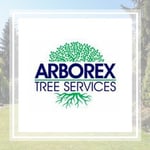 Arborex Tree Service Logo