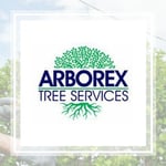 Arborex Tree Service Logo
