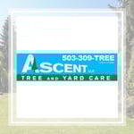 Ascent Tree And Yard Care Logo