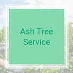 Ash Tree Service Logo