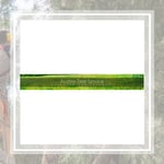 Austex Tree Service Inc Logo