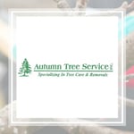 Autumn Tree Service Logo