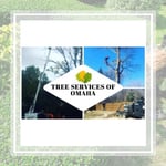 Bellevue Tree Care Inc Logo