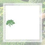 Benitez Tree Service Llc Logo