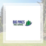 Big Pines Srq Logo