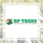 Bp Services Llc Logo