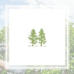 Branch Out Tree Service Logo