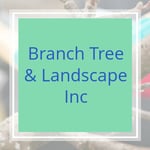 Branch Tree &amp; Landscape Inc Logo