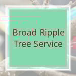 Broad Ripple Tree Service Logo