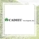 Cadieu Wood Recycling Logo