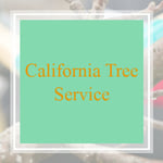 California Tree Service Logo